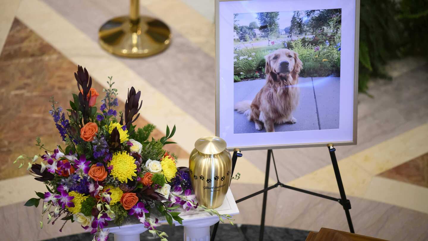 Minnesota honors beloved dog alongside slain lawmaker and husband