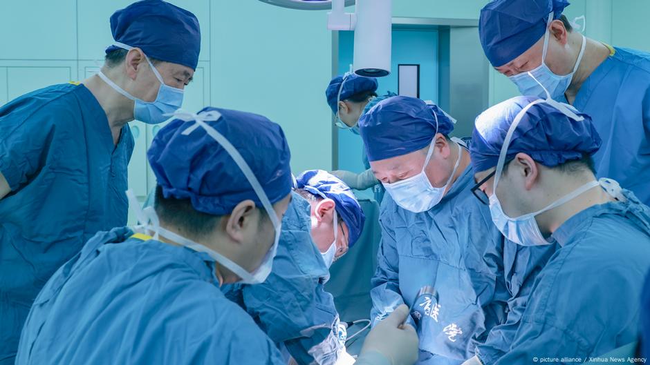 Surgeons conduct pig-to-human lung transplant – DW – 08/26/2025