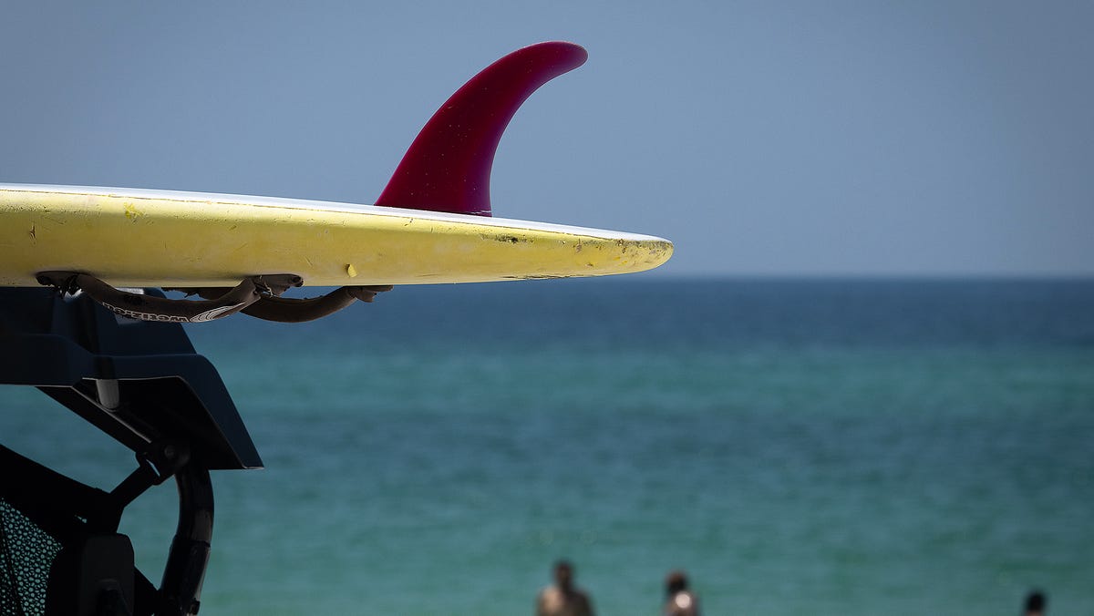 Second person dies in Bay County this year from vibrio vulnificus