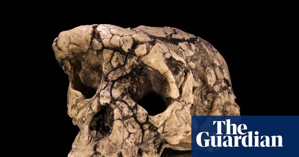 Fresh bone analysis makes case for earliest ‘ancestor of humankind’, but doubts remain | Palaeontology