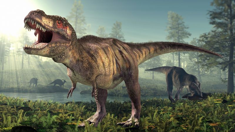 It took 35 years for T. rex to become fully grown